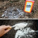 Осенний секрет урожая: сода для грядок 13 Осенний секрет урожая: сода для грядок