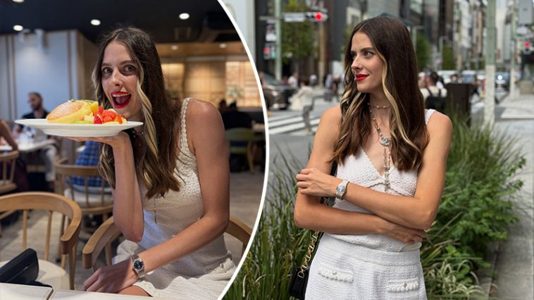 bvdbvjdjvgrnibhsbhcsdcj