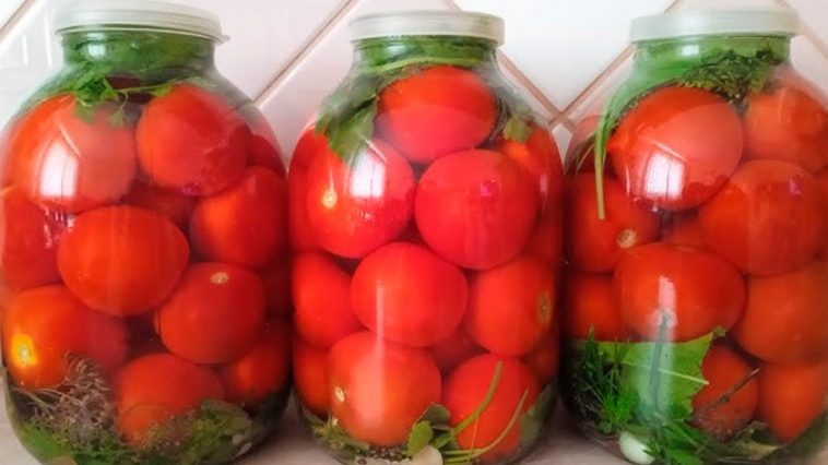 Квашеные помидоры под капроновую крышку – проверенный рецепт на 3-литровую банку