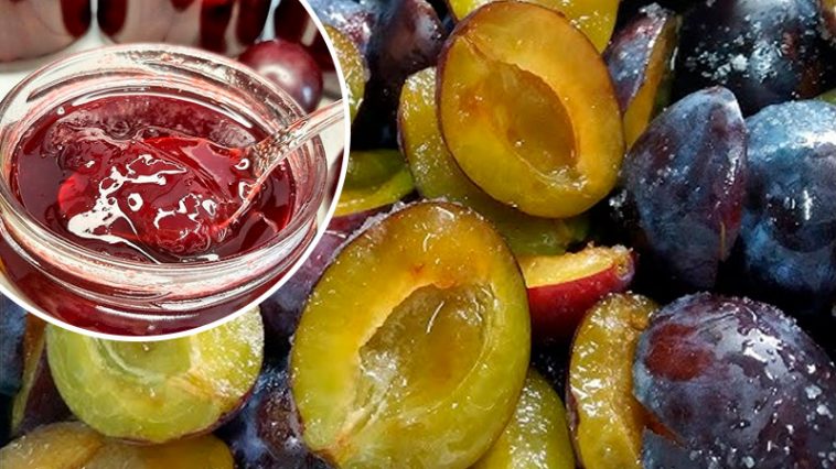 Домашний сливовый джем на зиму — густой, ароматный и без загустителей