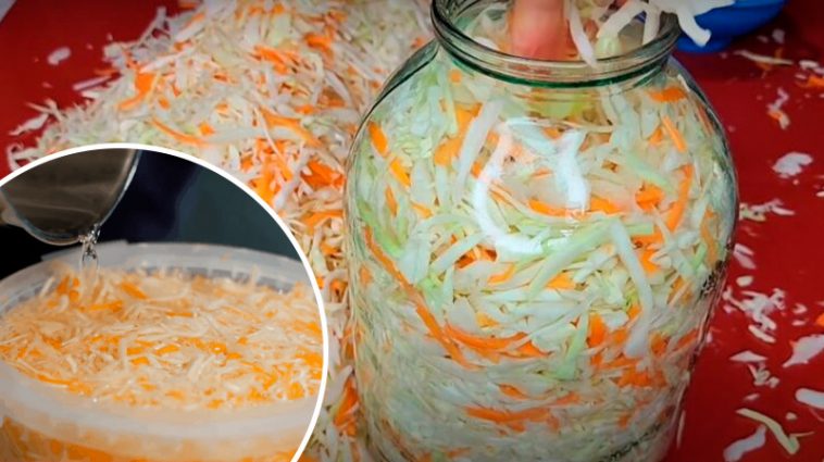 Классическая квашеная капуста – хрустящий вкус детства
