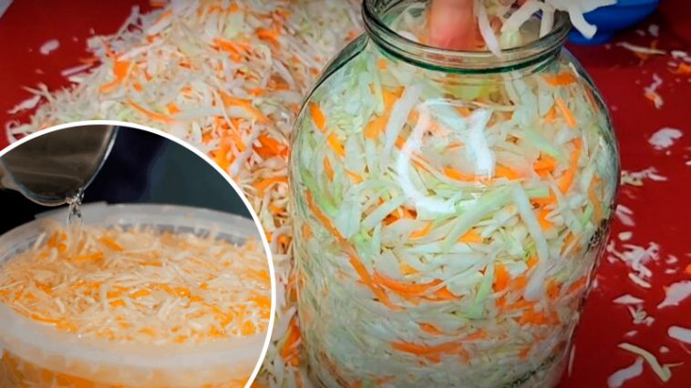Классическая квашеная капуста – хрустящий вкус детства