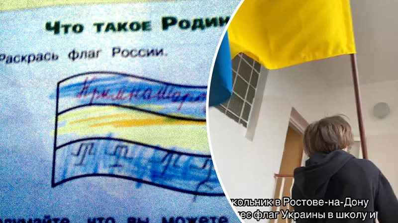 bvdbvjdjvgrnibhsbhcsdjbcj