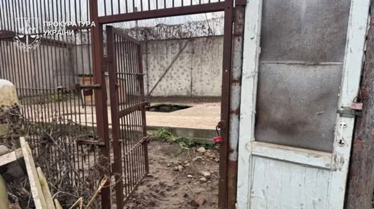 Шокирующие условия в «реабилитационном центре» Хмельницкого: львицы сбежали, погибли животные 7 89a3b80f5c3fb72cc3f052abec24ebee