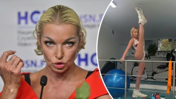 bvdbvjdjvgrnibhsbhcsdcsjbcj 17