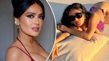 bvdbvjdjvgrnibhsbhcsdcsjbcj 2