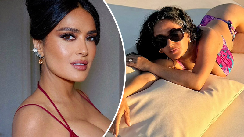 bvdbvjdjvgrnibhsbhcsdcsjbcj 2