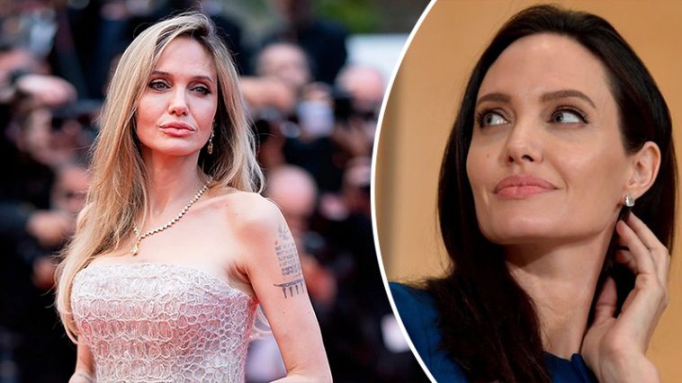 bvdbvjdjvgrnibhsbhcsdcsjbcj 23