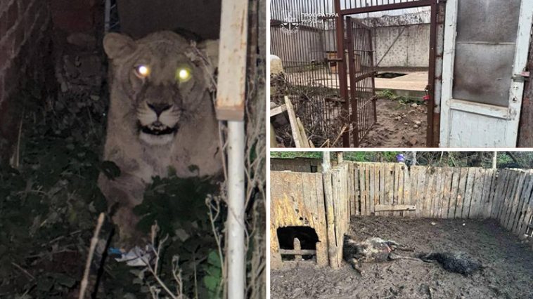 vjbdjvjdbchsvcjoweop