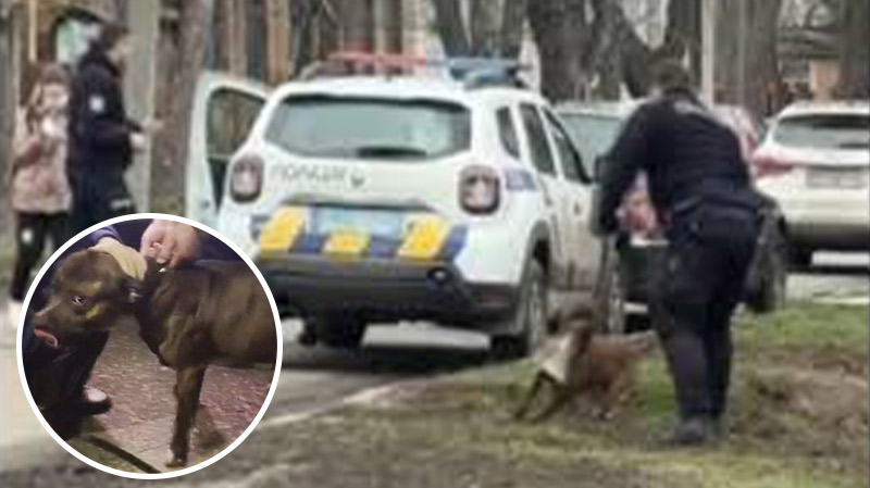 bvdbvjdjvgrnibhsbhcsdcsjbcj 18