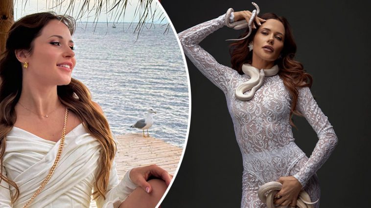 bvdbvjdjvgrnibhsbhcsdcsjbcj 19