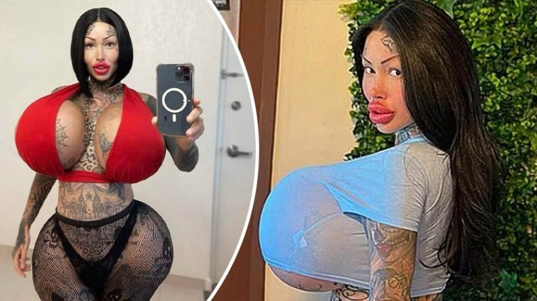 bvdbvjdjvgrnibhsbhcsdcsjbcj 32