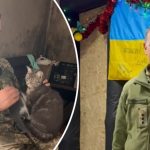 bvdbvjdjvgrnibhsbhcsdcsjbcj 62