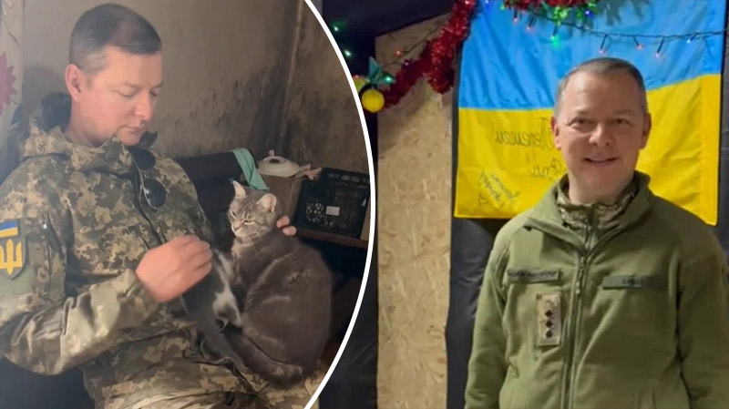 bvdbvjdjvgrnibhsbhcsdcsjbcj 62