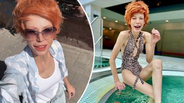 bvdbvjdjvgrnibhsbhcsdcsjbcj 63