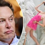 bvdbvjdjvgrnibhsbhcsdcsjbcj 32