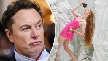 bvdbvjdjvgrnibhsbhcsdcsjbcj 32