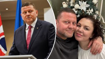 bvdbvjdjvgrnibhsbhcsdcsjbcj