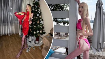 bvdbvjdjvgrnibhsbhcsdcsjbcj 41