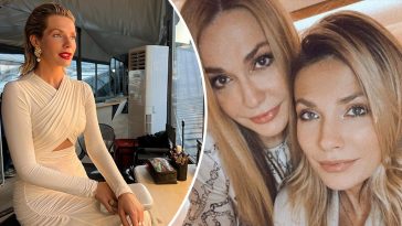 bvdbvjdjvgrnibhsbhcsdcsjbcj 42