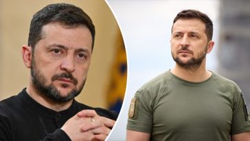 bvdbvjdjvgrnibhsbhcsdcsjbcj 46