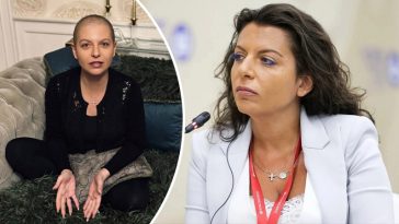 bvdbvjdjvgrnibhsbhcsdcsjbcj 55