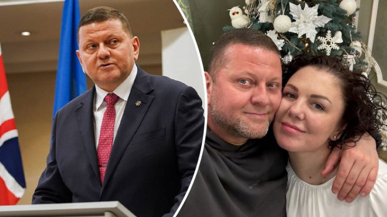 bvdbvjdjvgrnibhsbhcsdcsjbcj