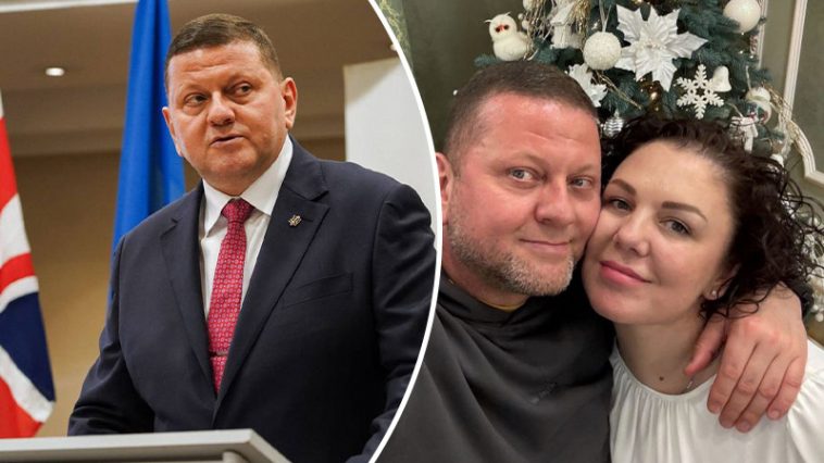 bvdbvjdjvgrnibhsbhcsdcsjbcj