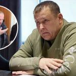 bvdbvjdjvgrnibhsbhcsdcsjbcj 14