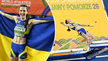 bvdbvjdjvgrnibhsbhcsdcsjbcj 22