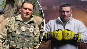 bvdbvjdjvgrnibhsbhcsdcsjbcj 37