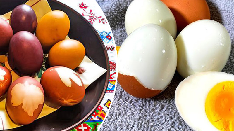 bvdbvjdjvgrnibhsbhcsdcsjbcj 42