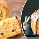 bvdbvjdjvgrnibhsbhcsdcsjbcj 47