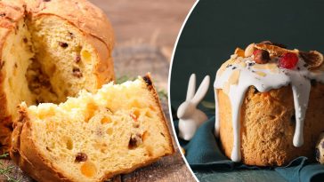 bvdbvjdjvgrnibhsbhcsdcsjbcj 47