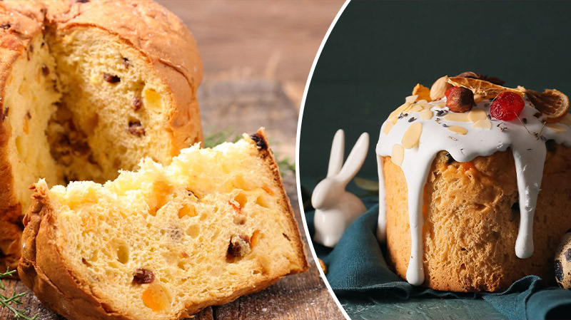 bvdbvjdjvgrnibhsbhcsdcsjbcj 47