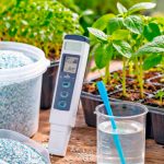 Рассада томатов растёт быстро и крепко: лучшие подкормки для сильных корней и богатого урожая 🍅 10 krug 50