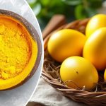 bvdbvjdjvgrnibhsbhcsdcsjbcj