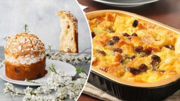 bvdbvjdjvgrnibhsbhcsdcsjbcj 22