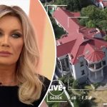 bvdbvjdjvgrnibhsbhcsdcsjbcj 25