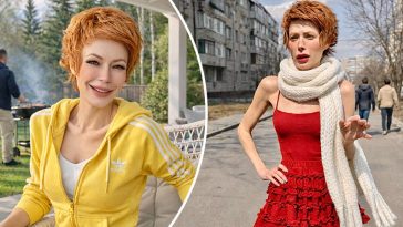 bvdbvjdjvgrnibhsbhcsdcsjbcj 36