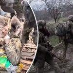 bvdbvjdjvgrnibhsbhcsdcsjbcj 40