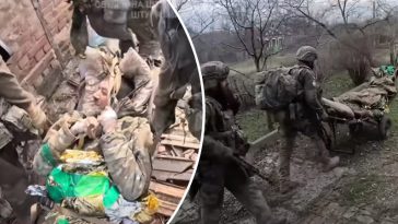 bvdbvjdjvgrnibhsbhcsdcsjbcj 40