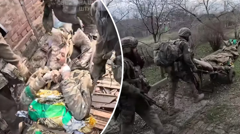 bvdbvjdjvgrnibhsbhcsdcsjbcj 40