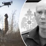 bvdbvjdjvgrnibhsbhcsdcsjbcj 42