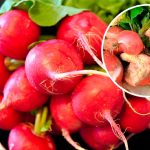 Редис под угрозой: одна ошибка – и урожай пойдет трещинами